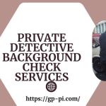 private detective background check