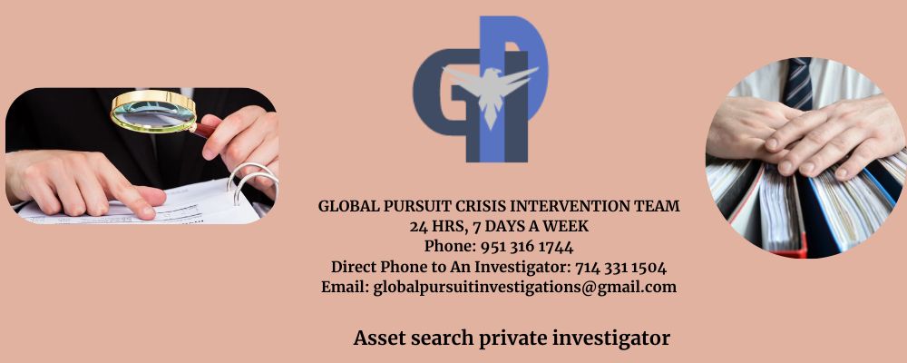 Asset Search Private Investigator